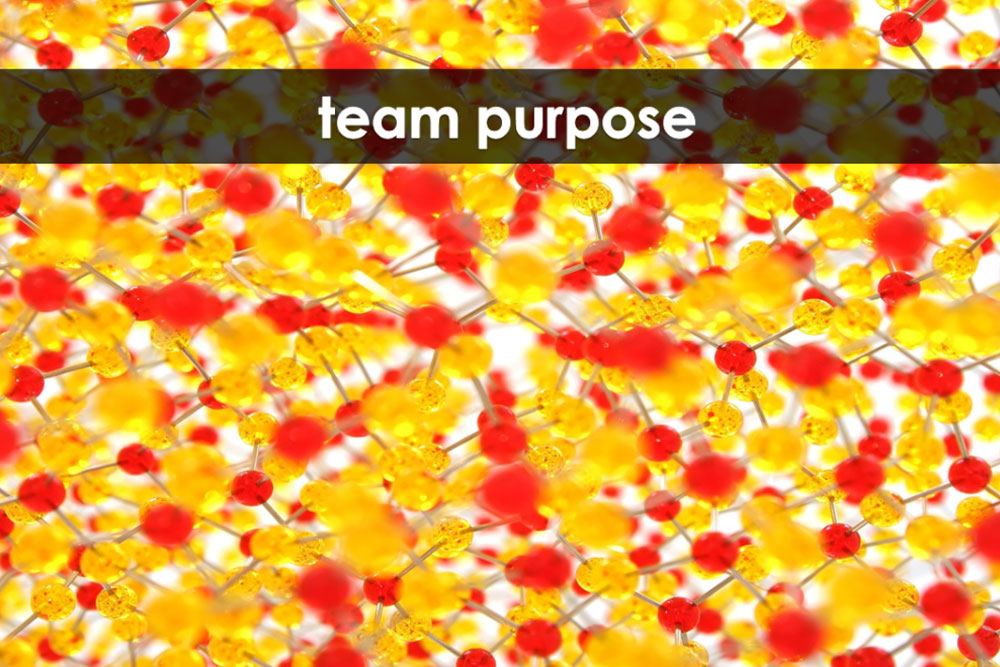 Team-Purpose